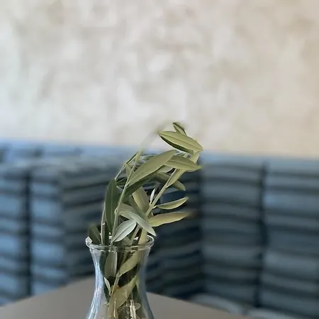 Отель Merko 4*